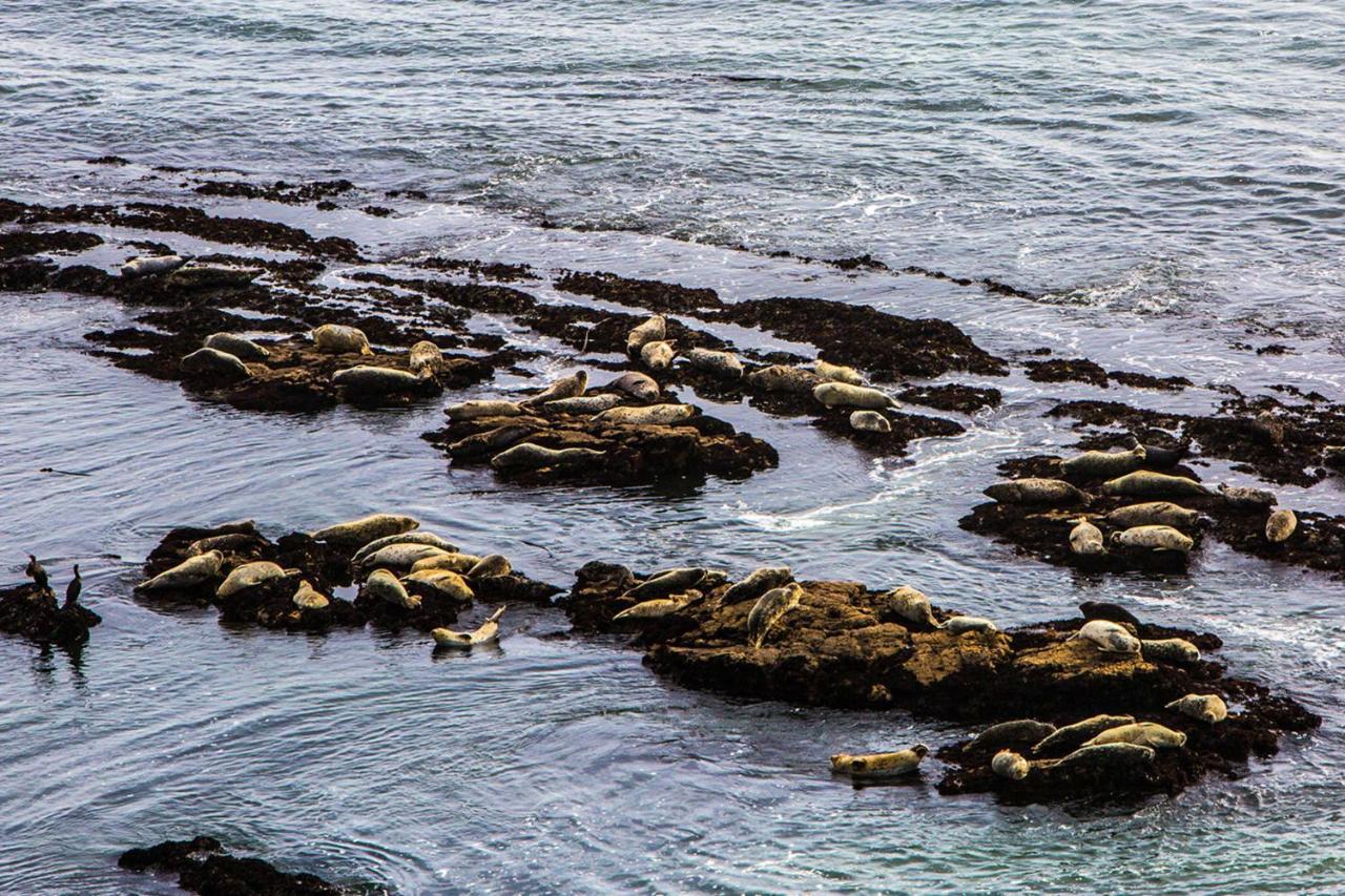 Luxury Beachfront Penthouse Walk To The Beach Restaurants Entertainment Half Moon Bay Extérieur photo